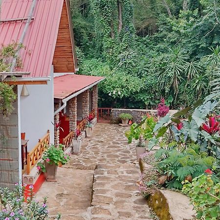 Mrefu Eco-Lodge Marangu Экстерьер фото